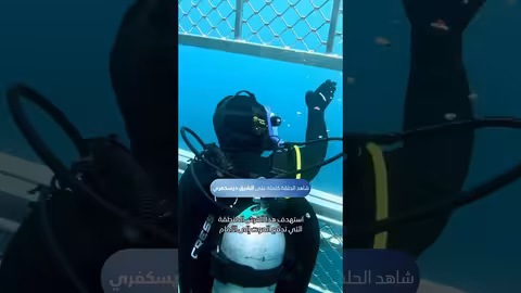 القرش يأكل الطعم