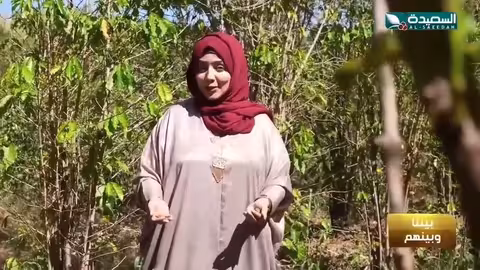 في رايكم. هل البن أصله من اليمن او من إثيوبيا؟ #طائر_السعيدة7 #رمضان #السعيدة