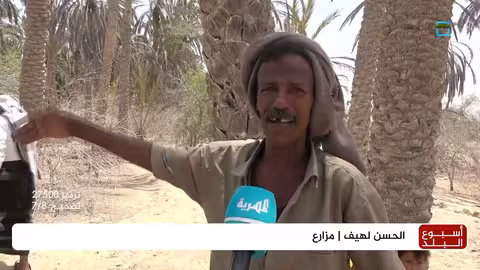 شبوة: جفاف يهدد آلاف النخيل بعد إعصار تشابالا