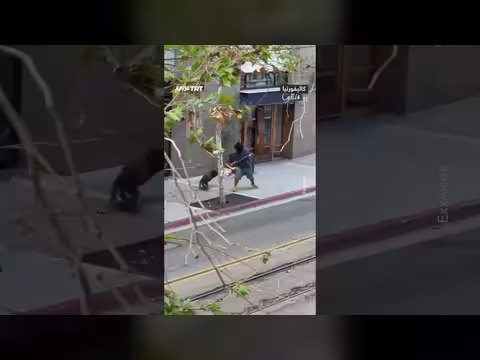 كلب بوليسي يهاجم مشتبها بارتكاب جريمة