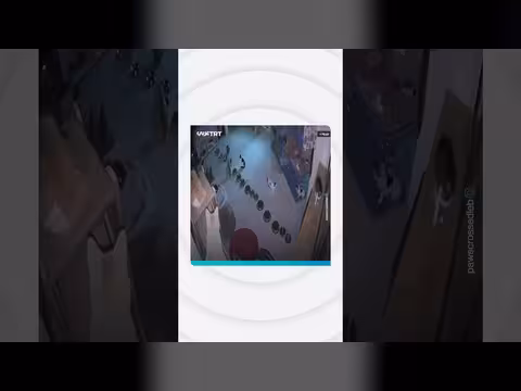 أصوات انفجارات تزلزل مأوى للقطط في بيروت