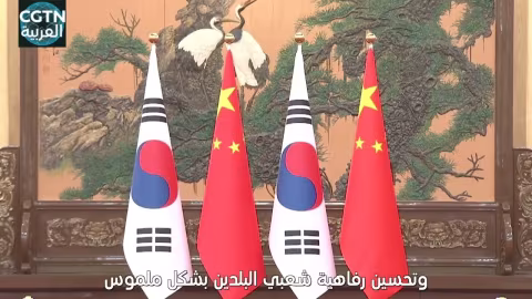 شي جين بينغ يعقد محادثات مع رئيس كوريا الجنوبية