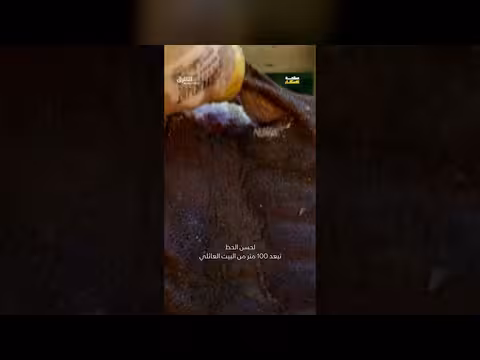 لحم القرش المخمّر: تجربة فريدة