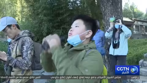 بكين: تحسن ملحوظ في التنوع البيولوجي وأعداد الطيور