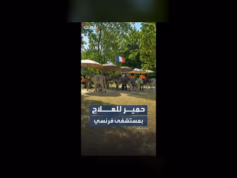 مستشفى نفسي قرب باريس يستخدم الحمير في العلاج النفسي