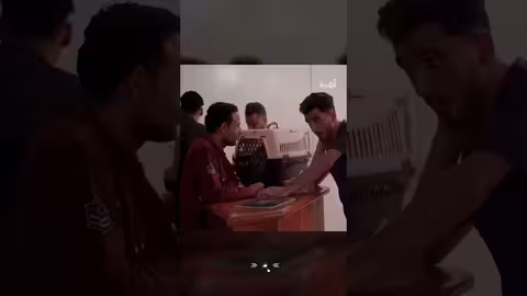 مقلب قط يدور فتة لبن بأرقى المطاعم ه #اضحك_من_قلبك #اكسبلور #اليمن #المهرية