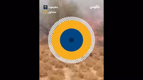 حريق يشتعل في مزارع النخيل بمديرية دوعن