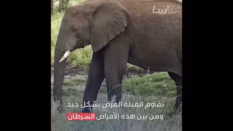 حصاد الساحة العلمية 10