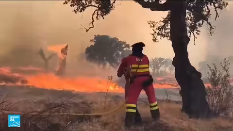 حرائق الغابات تشتعل في إسبانيا وتدفع الحكومة لاتخاذ إجراءات طارئة