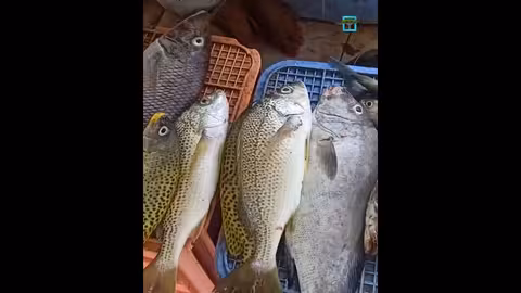 أبين اليمنية: طبيعة وتراث وثروات متنوعة