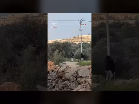 هجوم لمستوطنين على بلدة فلسطينية بقرية أبو فلاح