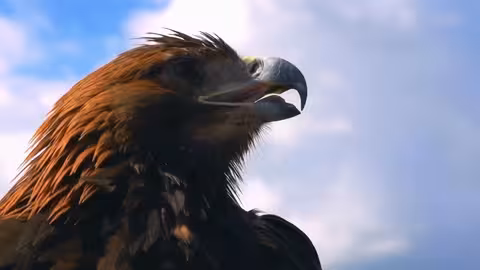 سادة السماء: مواجهات الحياة البرية - الحلقة الخامسة