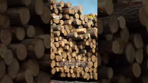 صلة الغابات بإيكيا #وثائقيات #shorts