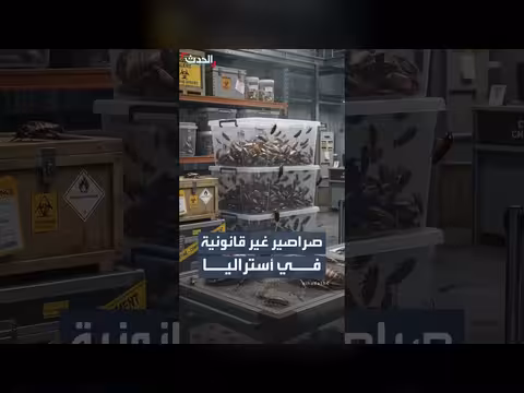 أستراليا تضبط أكبر شحنة حشرات غير قانونية