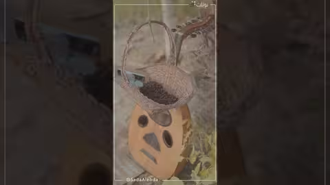 قصة حب يمنية: من المهر إلى قصيدة الارياني