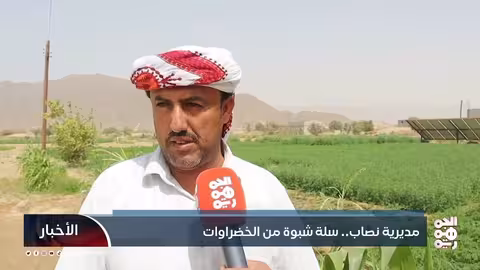 نصاب بشبوة: سلة الخضراوات التي تغذي الأسواق المحلية