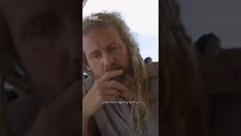 قرش الحمار الوحشي