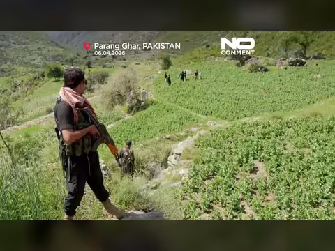 الشرطة الباكستانية تدمر حقول خشخاش الأفيون