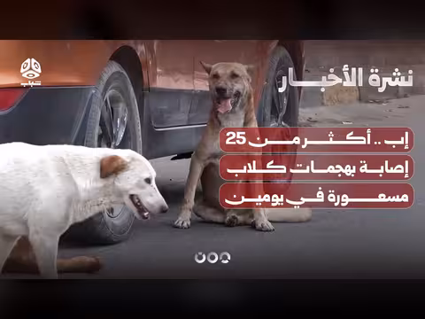 إصابات بالكلاب المسعورة في إب