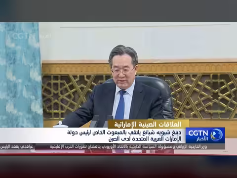 لقاء دينغ شيويه شيانغ مع مبعوث الإمارات في الصين