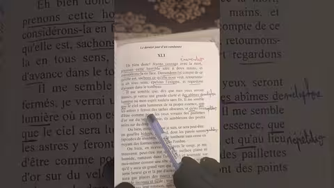 1bac le dernier jour d un condamné chapitre 40 et 41 قراءة جميع الفصول les figures de style