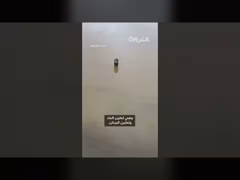 أكثر من 800 ثعبان هرب وسط فيضانات الصين