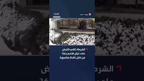 شرطة نيويورك تقبض على غزال اقتحم بنكاً