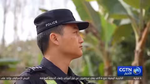 حماية الفيلة وحياة القرويين في شيشوانغباننا خلال عيد الربيع