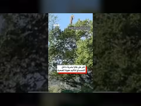 العثور على بقايا بشرية داخل تمساح في جنوب أفريقيا
