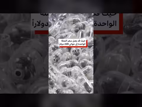 حكم بالسجن على رجل لتهريبه 2200 نملة حية