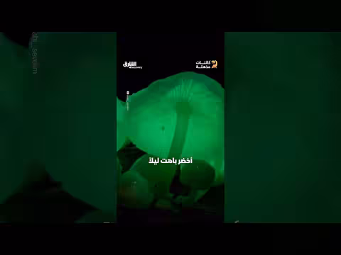 أكثر أنواع الفطر غرابة