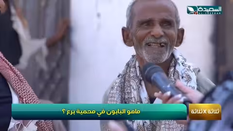 في فقرة 3 × 3 ما هو البابون في محمية برع، اليمن، طائر السعيدة7