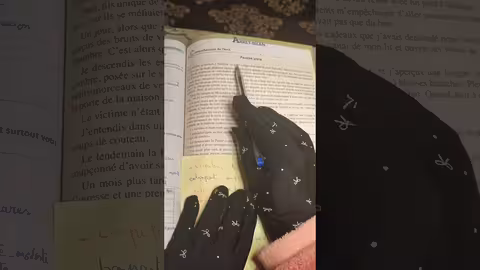 3ème année collège passerelle page 143,144,145 arrêt-bilan fausse piste