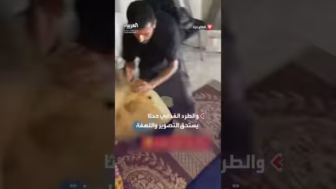 معاناة الغذاء وحنين الأسر اليمنية للمنزل