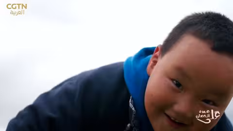 حصان العائلة المنغولية: من عامل شامل إلى رمز حب