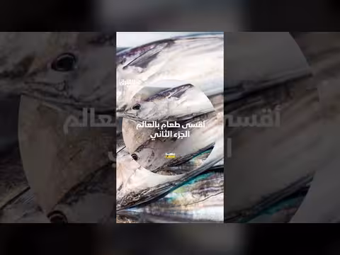 أقسى طعام بالعالم: صناعة الكاتسو بوشي