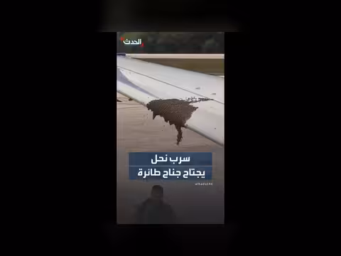 تأخير إقلاع طائرة بسبب سرب نحل