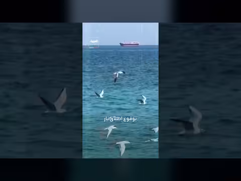 فوضى في مضيق هرمز وتوقف حركة العبور