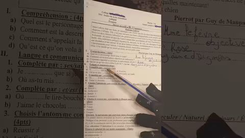 1ère année collège évaluation N3 deuxième semestre compréhension /langue الفرض الثالث الدورة التانية