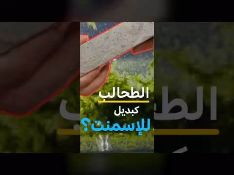 دور الطحالب في إنقاذ كوكب الأرض