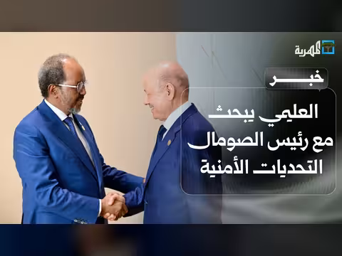 العليمي رئيس الصومال يناقش التحديات الأمنية المشتركة