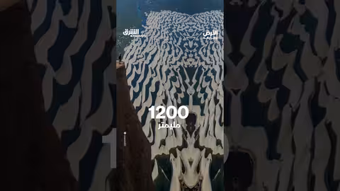 أغرب متنزه وطني في العالم