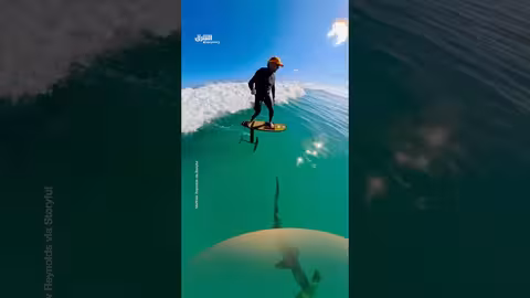 راكب لوح ينزلق فوق سمكة قرش رأس المطرقة