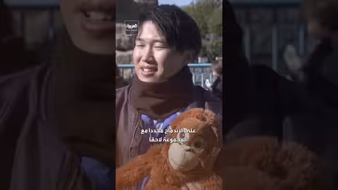 قصة القرد بانش الذي شغل مواقع التواصل