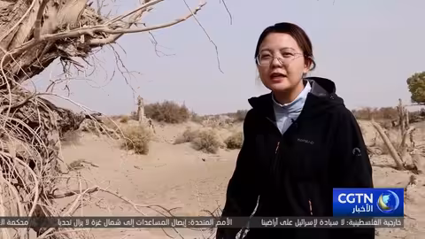 الإدارة العلمية تعيد الحياة إلى غابات حوض تاريم في الصين