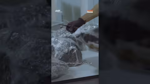 اكتشاف مُفاجئ في حقيبة مسافر: مفتاح أم سلاح؟