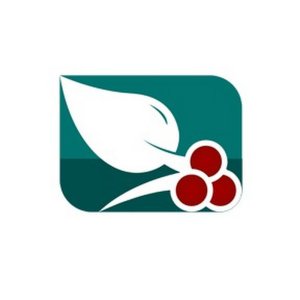 قناة السعيدة الفضائية