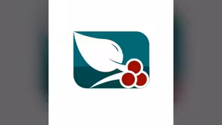 قناة السعيدة الفضائية